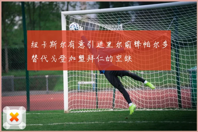 纽卡斯尔有意引进里尔前锋帕尔多替代戈登加盟拜仁的空缺
