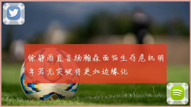 徐静雨直言杨瀚森面临生存危机明年若无突破将更加边缘化